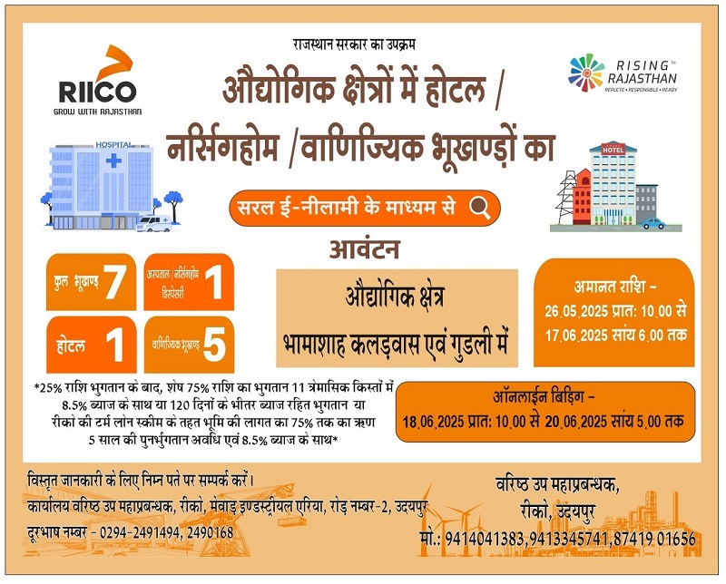 RIICO UDAIPUR